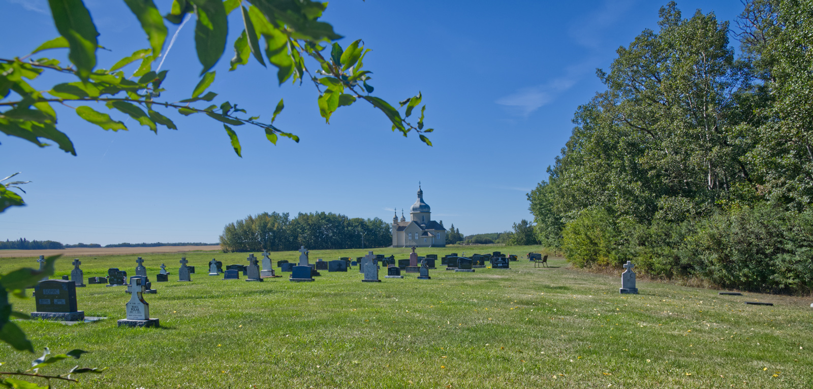 tudor cem